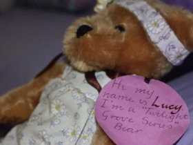 Twilight Grove Farm Bed And Breakfast  - New South Wales Tourism  2