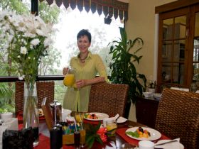 Mount Cotton Guesthouse - New South Wales Tourism  1