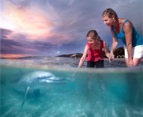 Tangalooma Island Resort - New South Wales Tourism  0