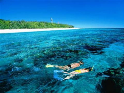 Lady Elliot Island Eco Resort - Day Trip - New South Wales Tourism  0