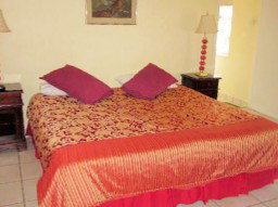 441 On The Esplanade - New South Wales Tourism  4