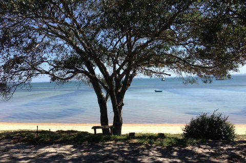 Adams Beach Camping Ground - New South Wales Tourism  0