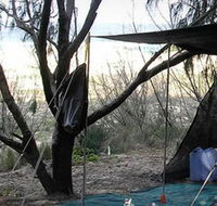 Main Beach Foreshore Camping Grounds - New South Wales Tourism 