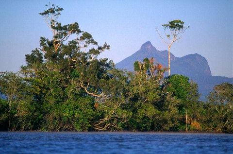 Mt Warning Rainforest Park - New South Wales Tourism  20