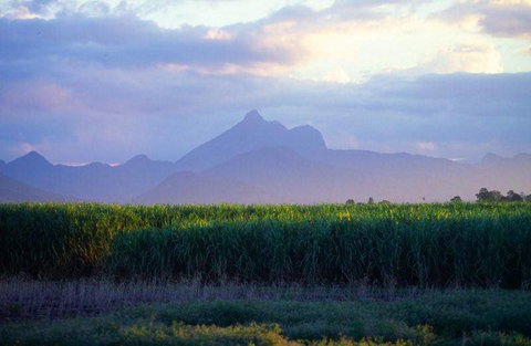 Mt Warning Rainforest Park - New South Wales Tourism  21