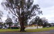 Dunedoo Caravan Park - thumb 0