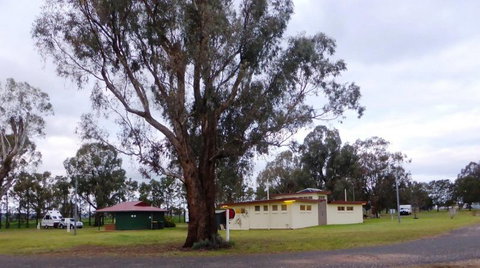 Dunedoo Caravan Park - New South Wales Tourism  0