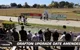 Grafton Greyhound Racing Club Caravan Park - thumb 0