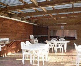 Koala Park - New South Wales Tourism  2