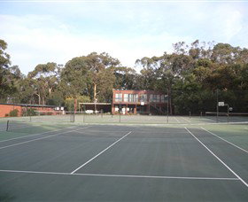 Koala Park - New South Wales Tourism  1