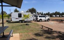 Ariah Park Camping Ground - New South Wales Tourism  1