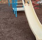 Austin Tourist Park - New South Wales Tourism 