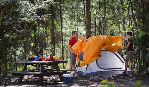 Bald Rock Campground And Picnic Area - New South Wales Tourism  0
