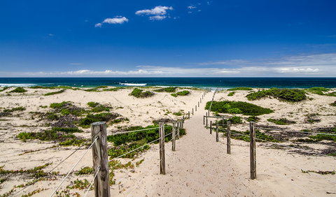 Banksia Green Campground - New South Wales Tourism  1