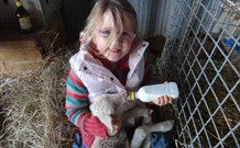 Barcoos Farmstays Bathurst - New South Wales Tourism  0