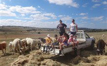 Barcoos Farmstays Bathurst - New South Wales Tourism  1