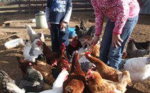 Barcoos Farmstays Bathurst - New South Wales Tourism  5