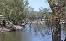 Brewarrina NSW New South Wales Tourism 
