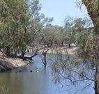 Beds on the Barwon - New South Wales Tourism 