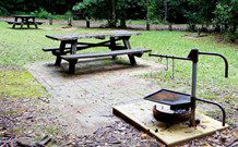 Bellbird Campground - New South Wales Tourism  0