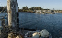 BIG4 Harrington Holiday Park - New South Wales Tourism  2