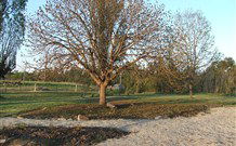 Camerons Creek NSW New South Wales Tourism 