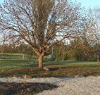 Bundarra Caravan Park
