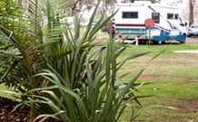 Buronga Riverside Caravan Park - New South Wales Tourism  0