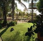 Comeroo Camel Station - New South Wales Tourism 