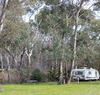 Culcairn Caravan Park - New South Wales Tourism 