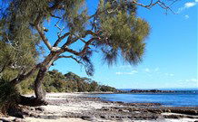 Currarong Beachside Holiday Park - New South Wales Tourism  0