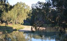 Darlington Point Riverside Caravan Park - New South Wales Tourism  2