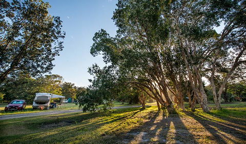 Delicate Campground - New South Wales Tourism  0