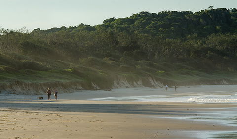 Delicate Campground - New South Wales Tourism  1