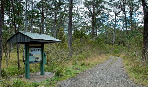 Devils Hole Campground And Picnic Area - New South Wales Tourism  1