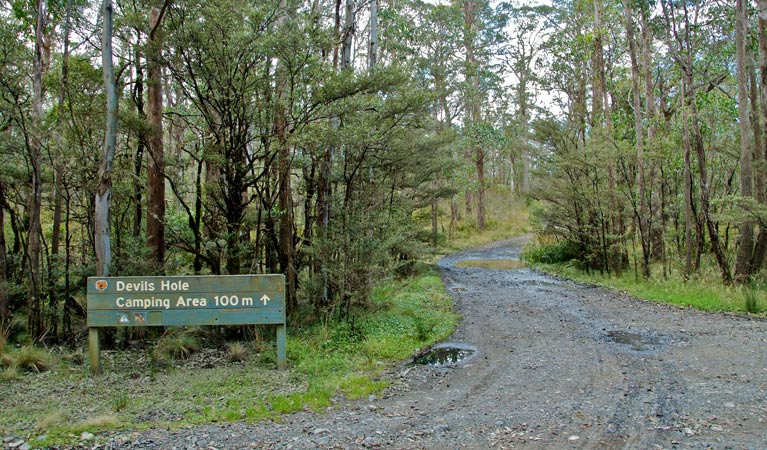 Barrington Tops NSW New South Wales Tourism