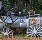 Dingo Tops campground - New South Wales Tourism 