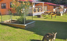 Durras Lake North Holiday Park - New South Wales Tourism  1