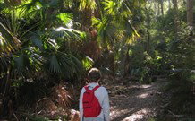 Durras Lake North Holiday Park - New South Wales Tourism  7