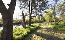 Fossickers Tourist Park - New South Wales Tourism  5