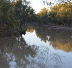 Four Mile Camping Reserve - New South Wales Tourism 