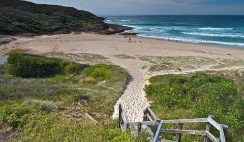 Frazer Campground - New South Wales Tourism  2