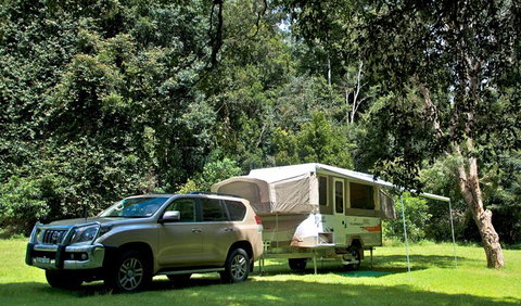 Gloucester River Campground - New South Wales Tourism  0
