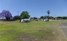 Grafton Showground Caravan Park - New South Wales Tourism  0