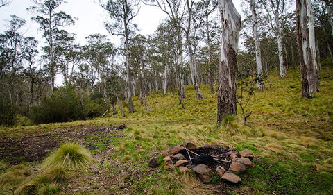Gummi Falls Campground - New South Wales Tourism  0