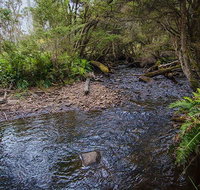 Horse Swamp campground - New South Wales Tourism 