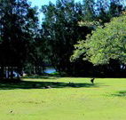 Island View Caravan Park and Holiday Cottages