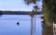 Island View Caravan Park And Holiday Cottages - New South Wales Tourism  7