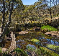 Junction Pools campground - New South Wales Tourism 