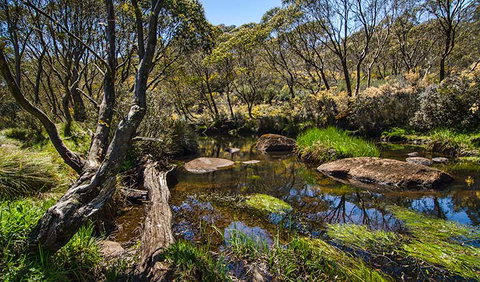 Junction Pools Campground - New South Wales Tourism  0